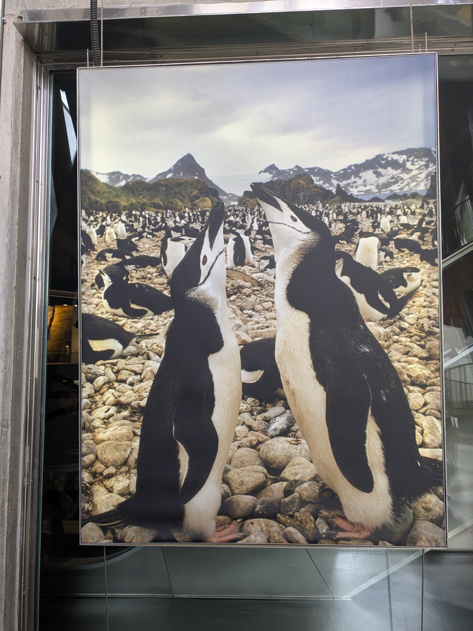 Base Antàrtica Base Antàrtica