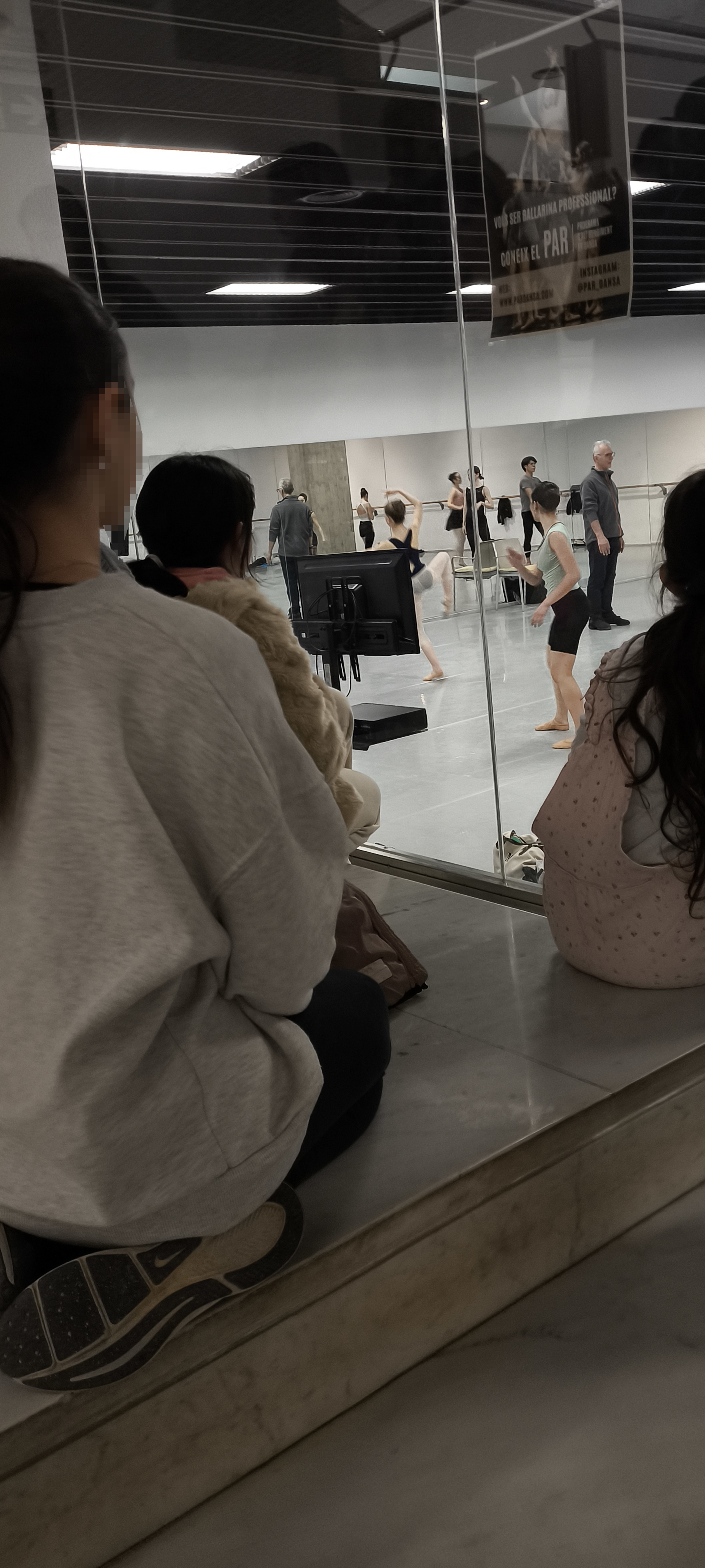 La dansa de les mil meravelles