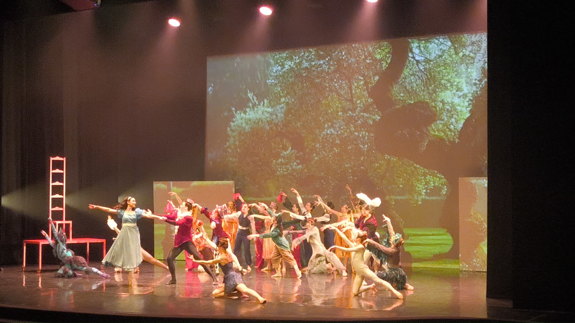 La dansa de les mil meravelles