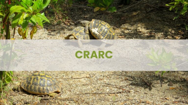Visita al CRARC