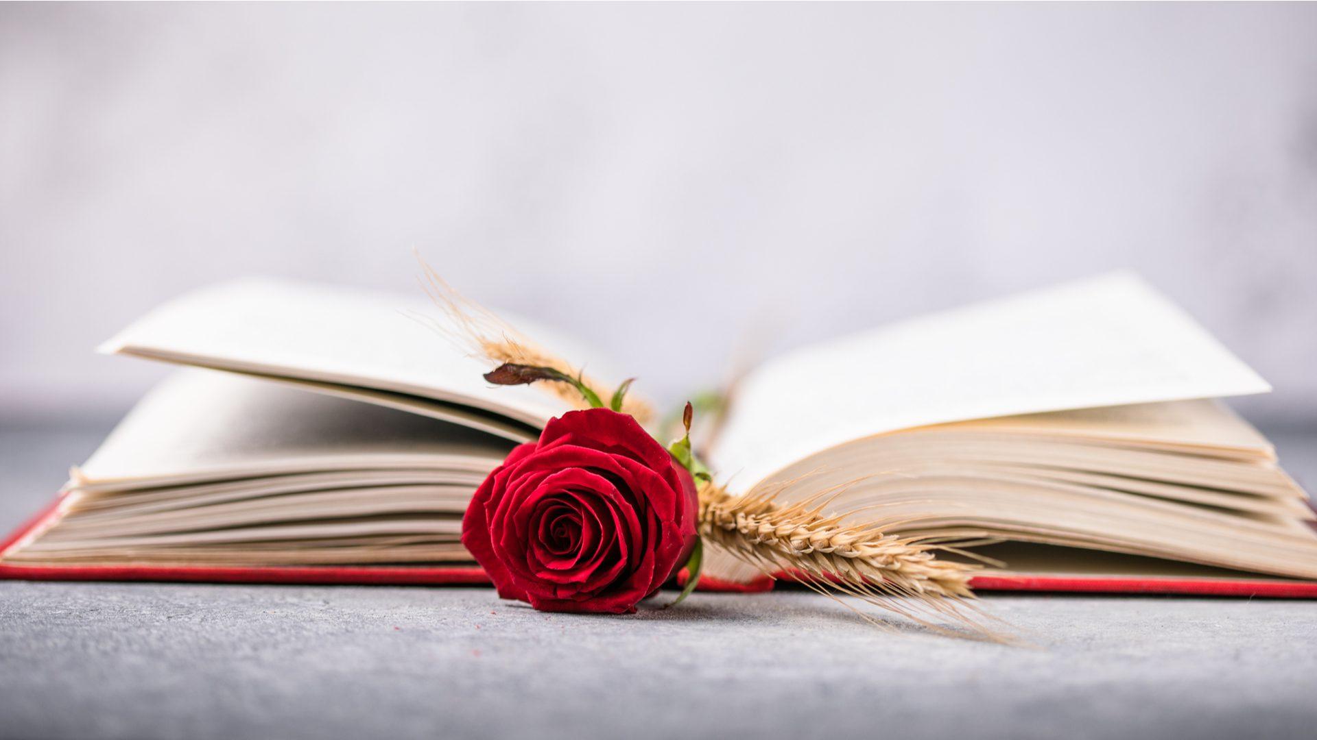 Intercanvi de Sant Jordi