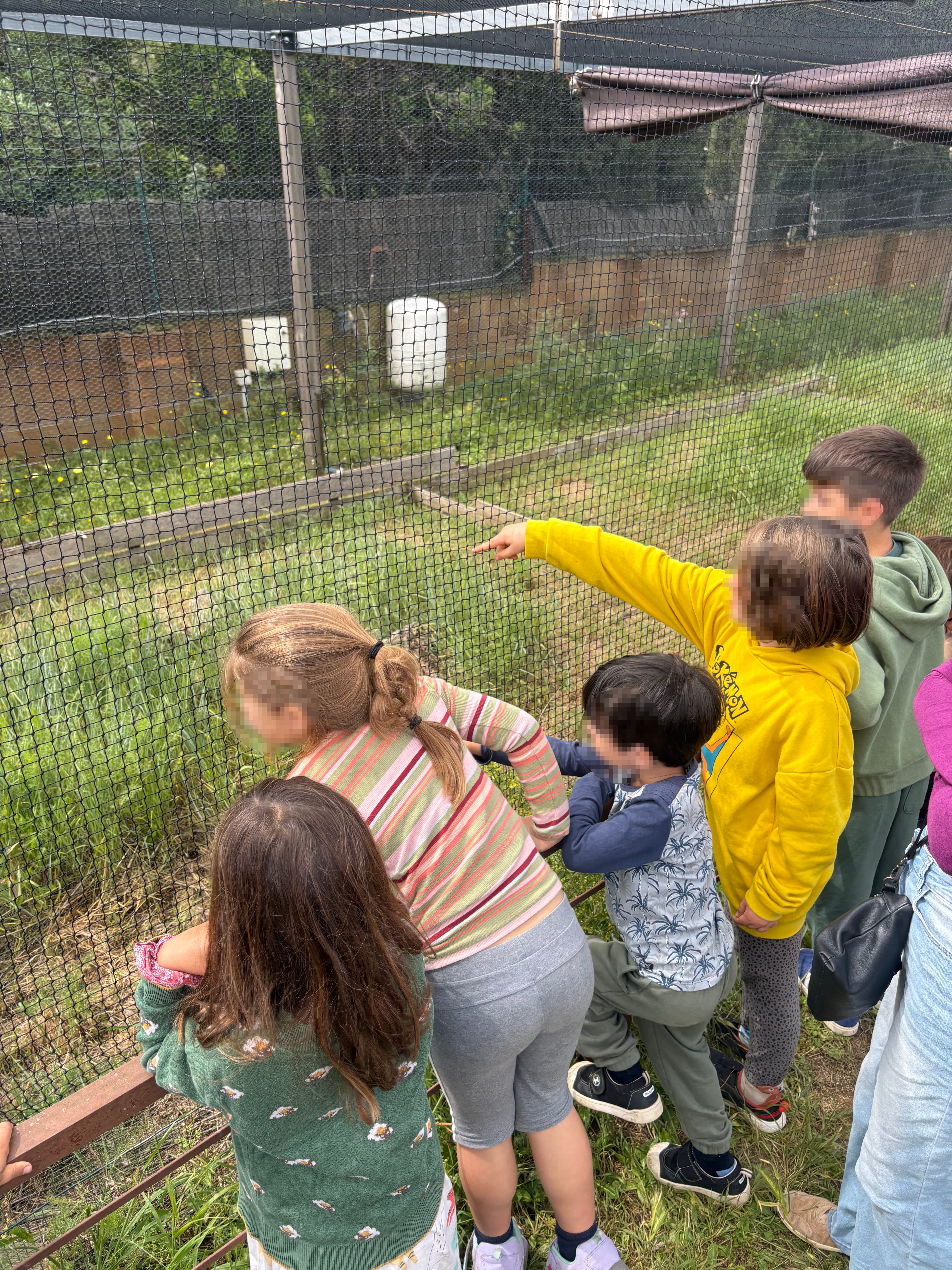 Aprenentatge i natura al CRT de l'Albera