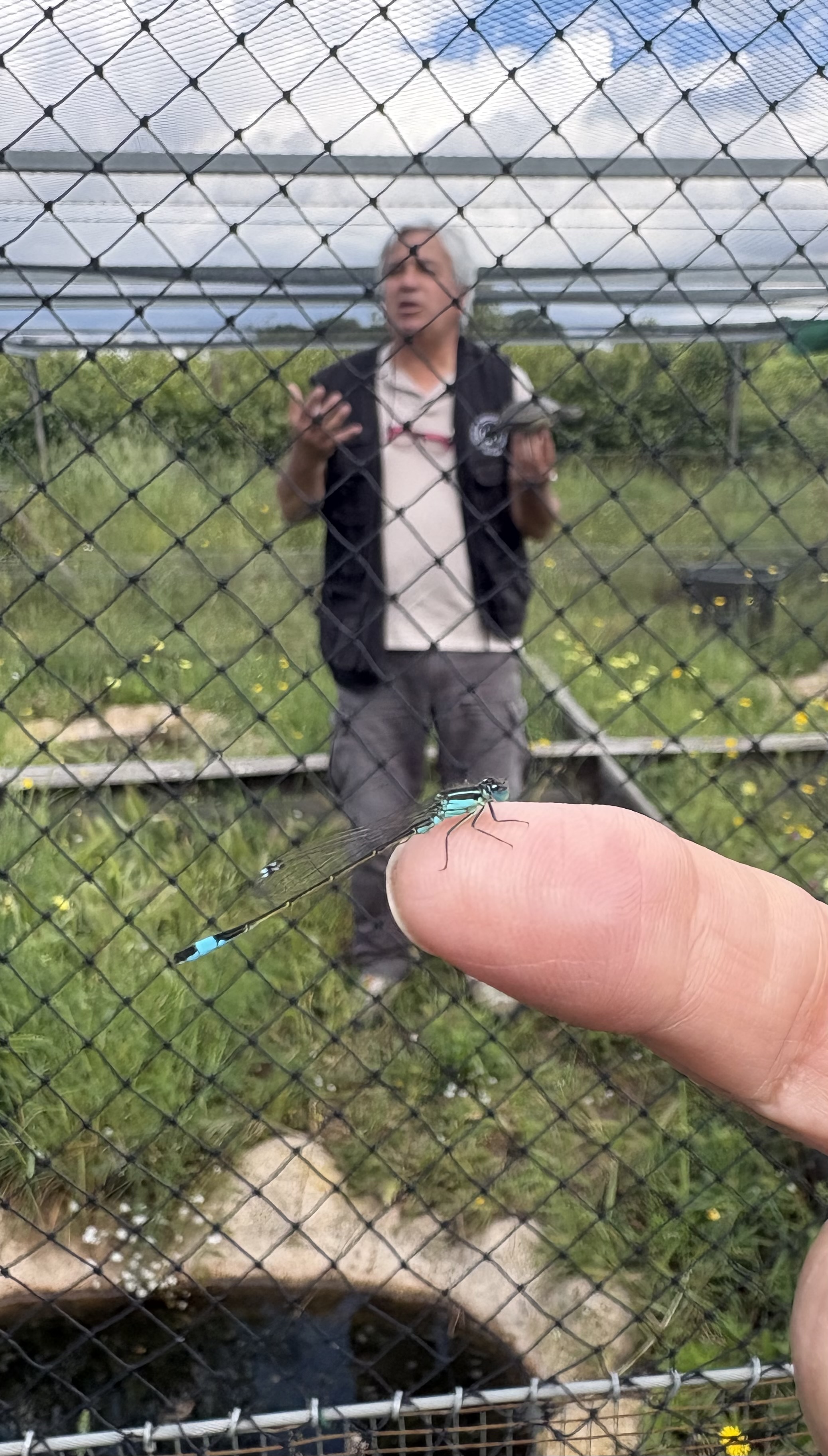 Aprenentatge i natura al CRT de l'Albera