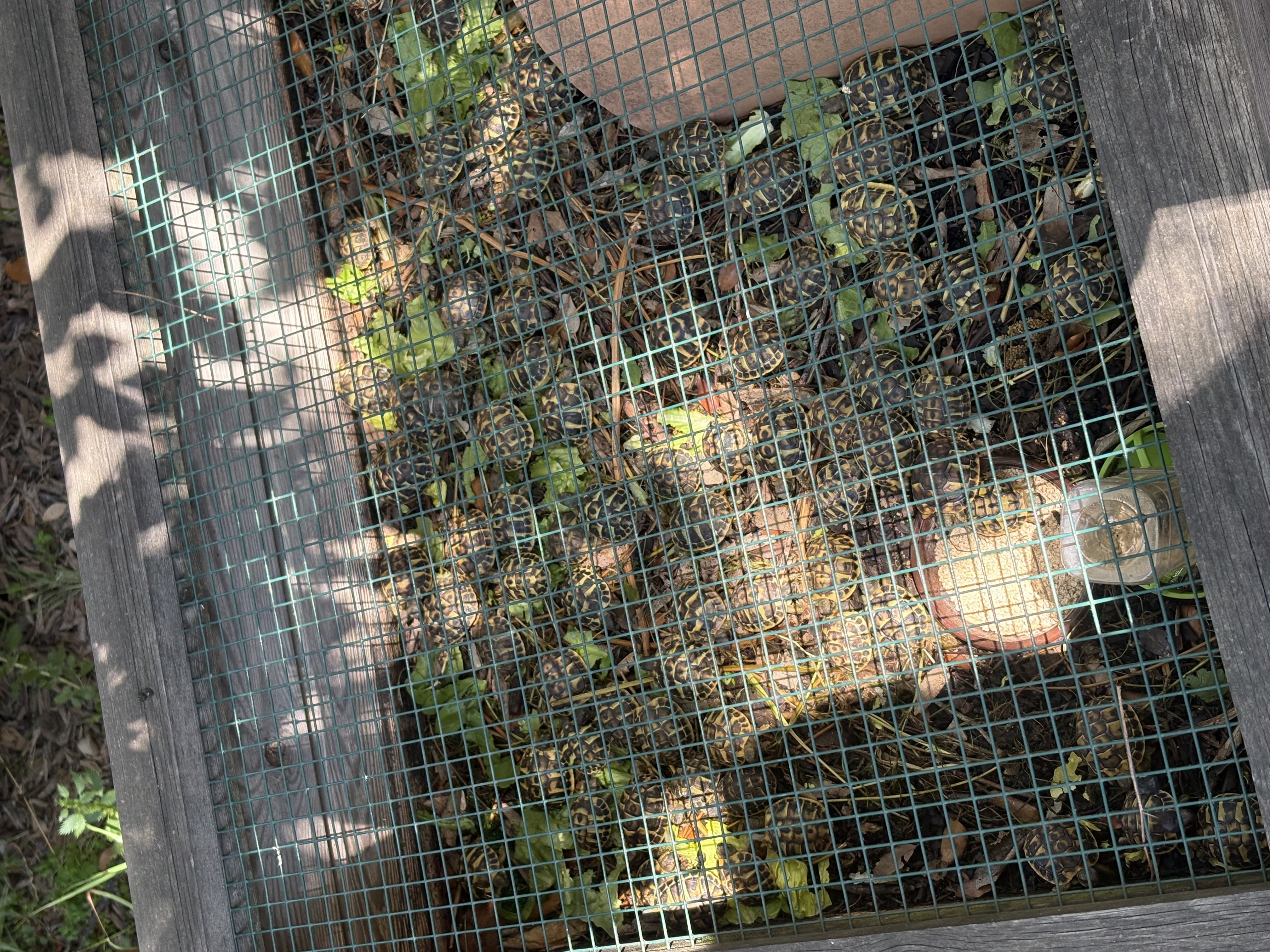 Aprenentatge i natura al CRT de l'Albera