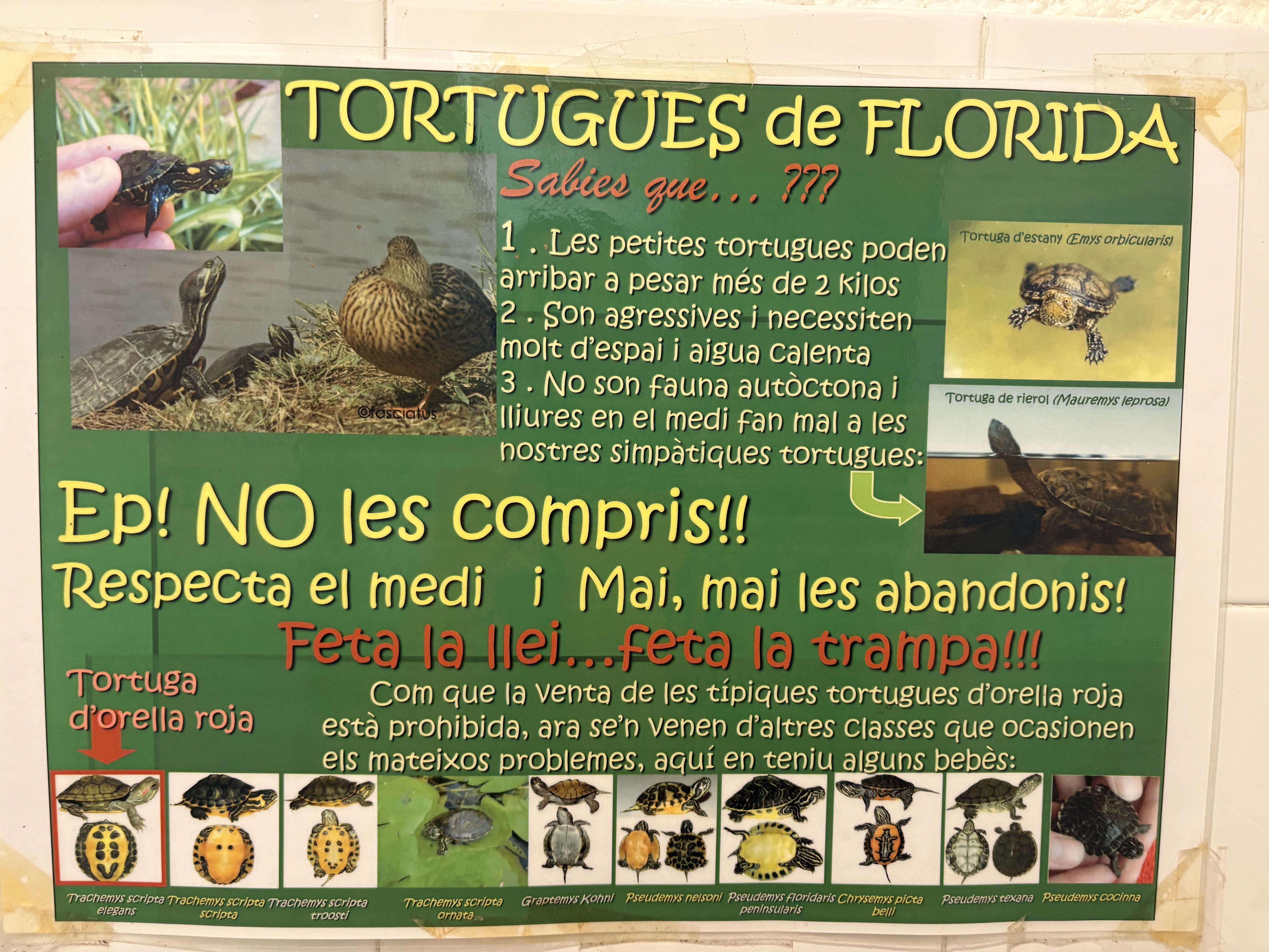 Aprenentatge i natura al CRT de l'Albera
