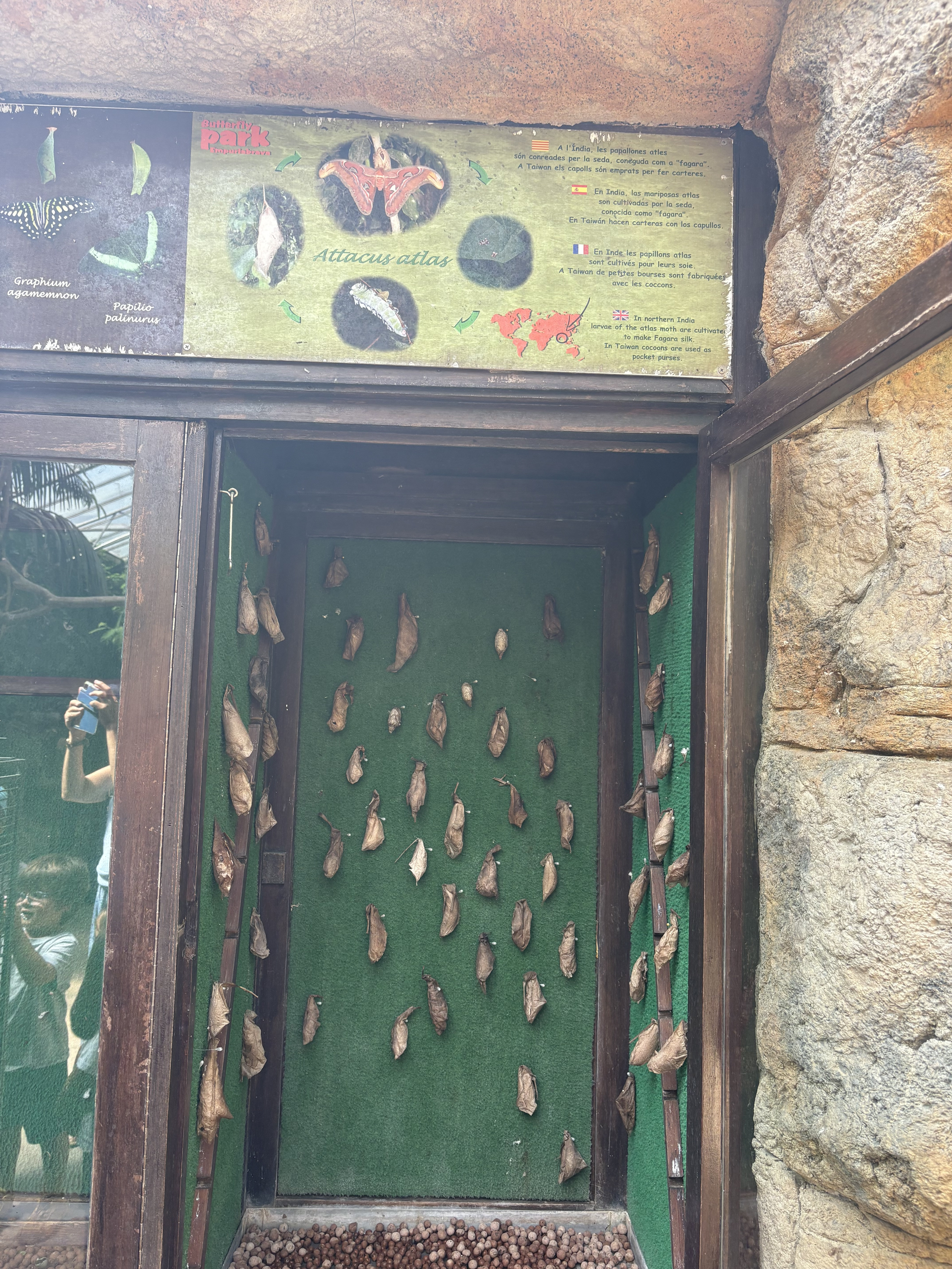 Butterfly Park