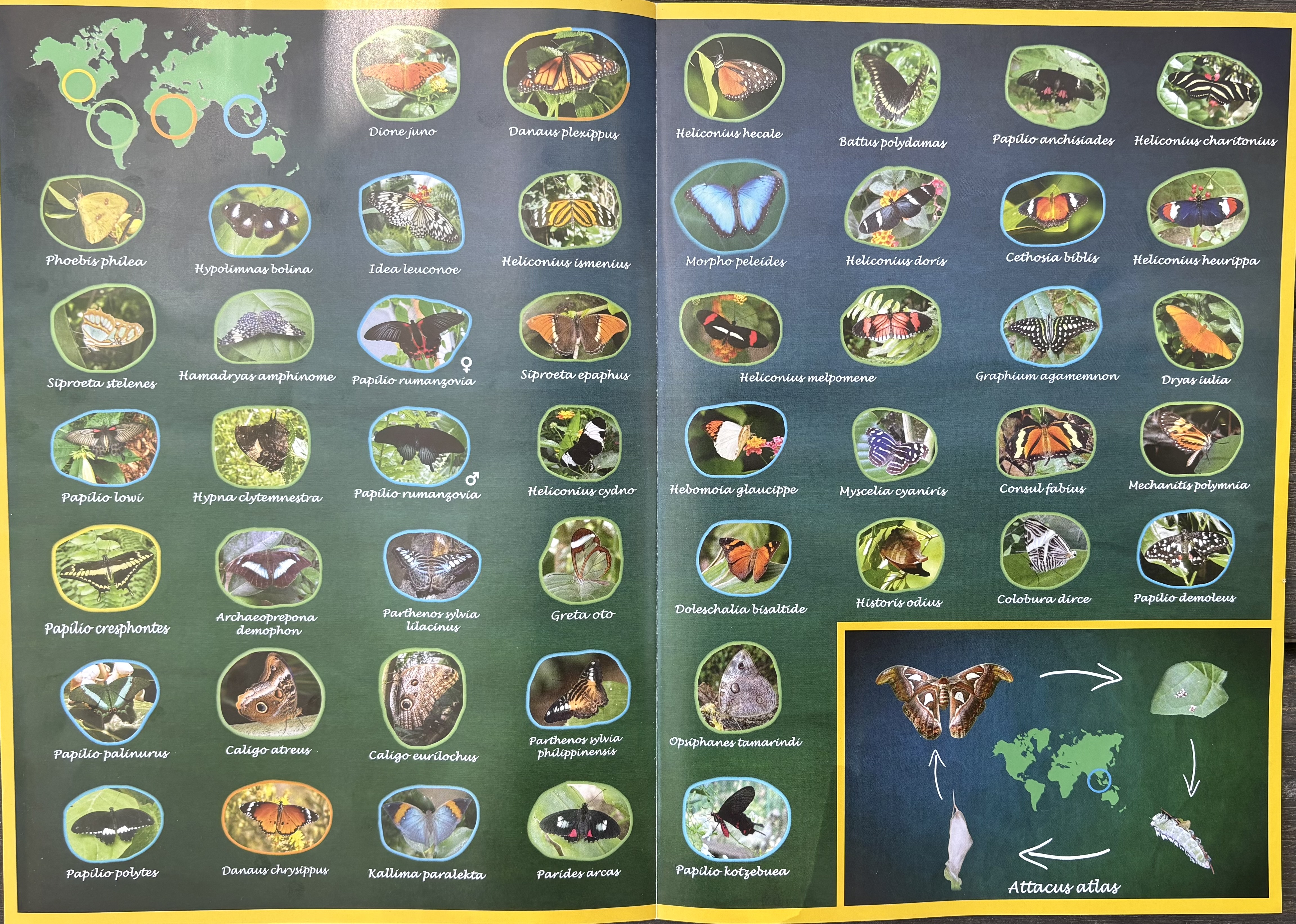Butterfly Park Butterfly Park