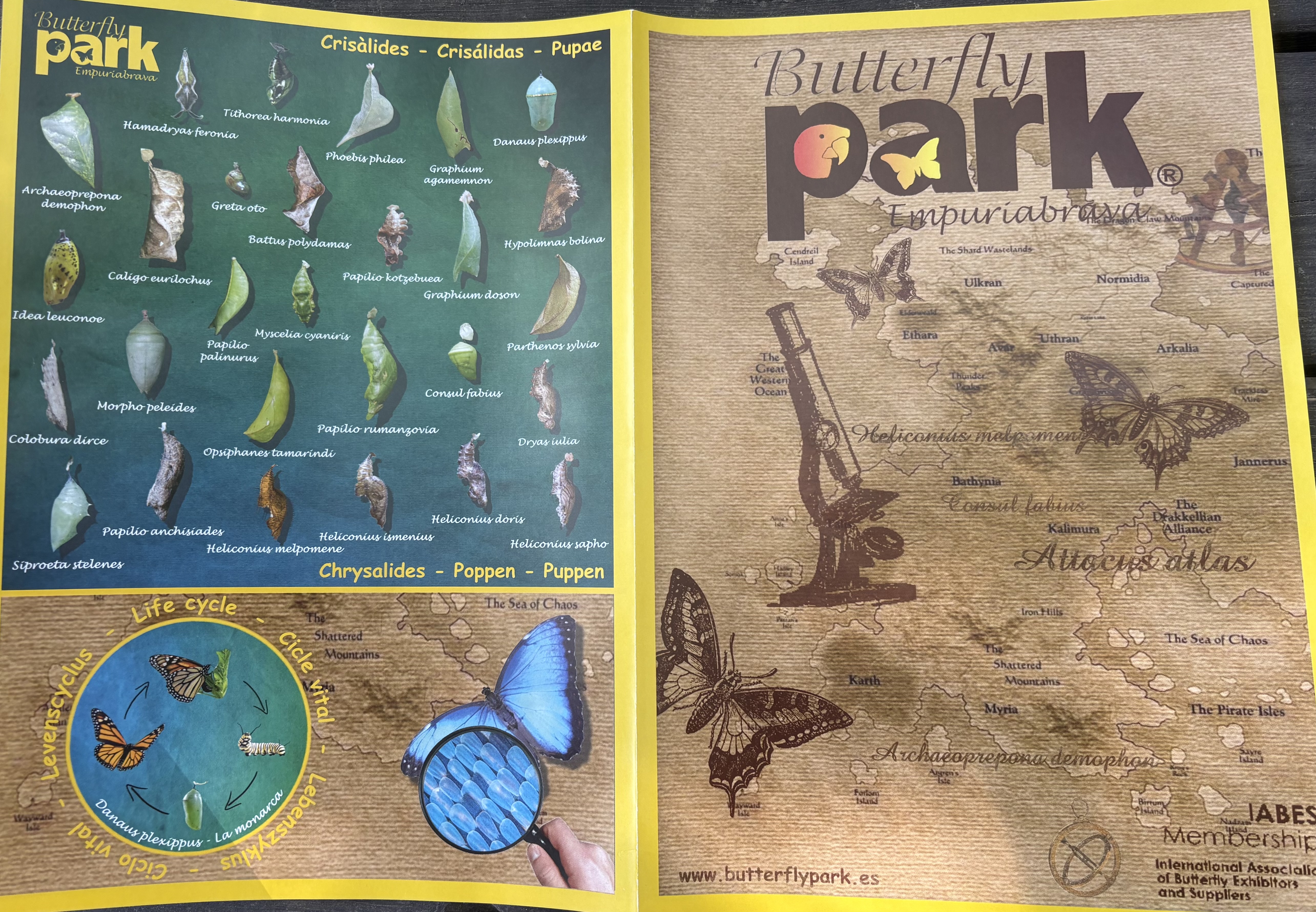 Butterfly Park