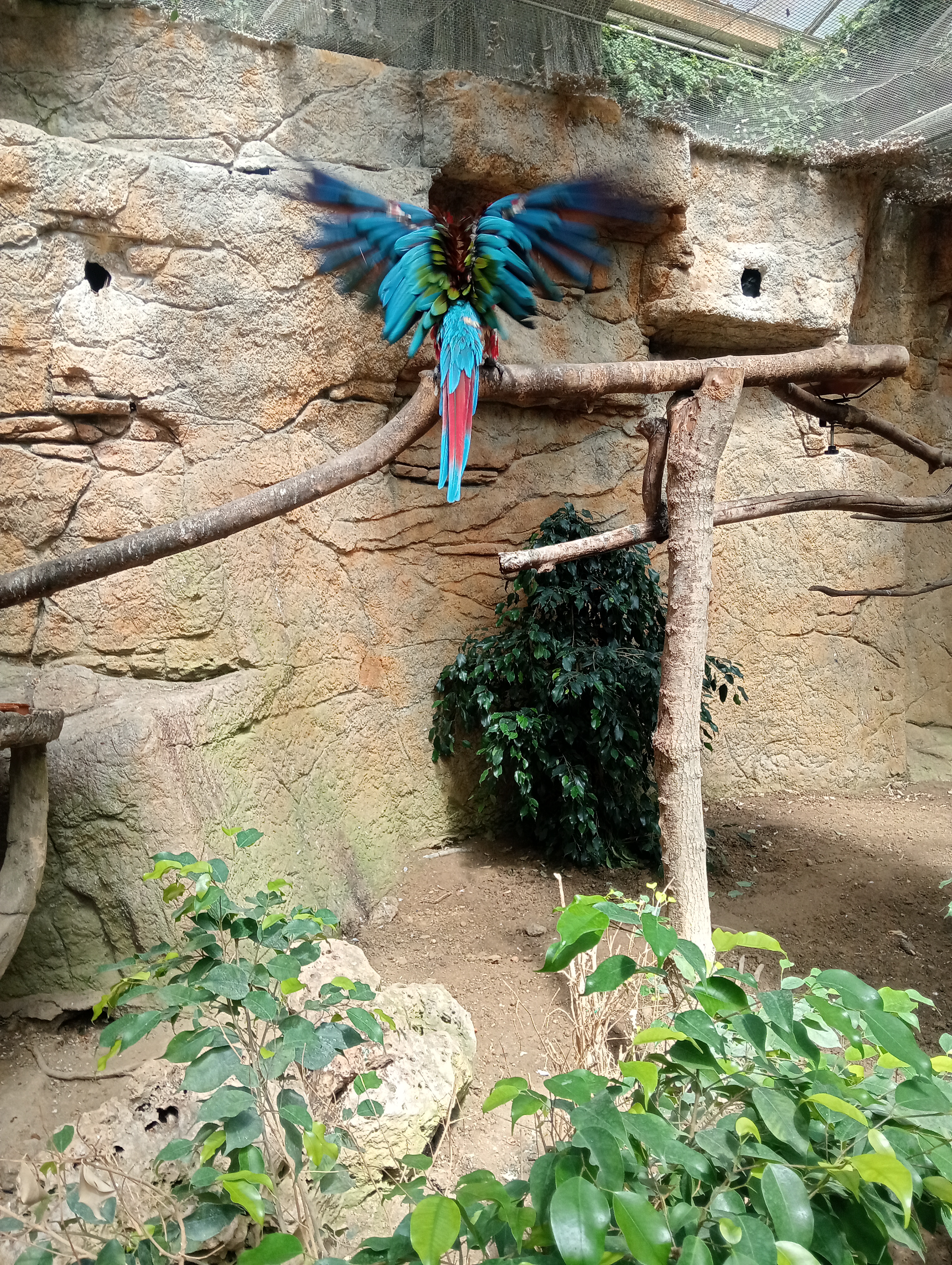 Butterfly Park