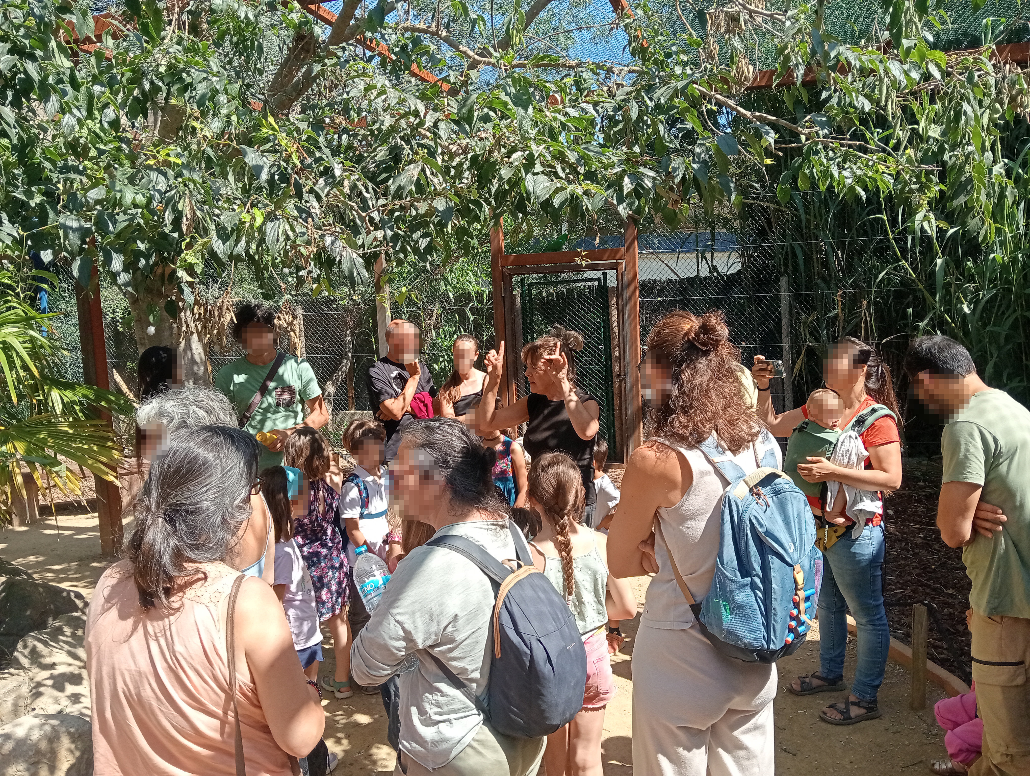 Butterfly Park