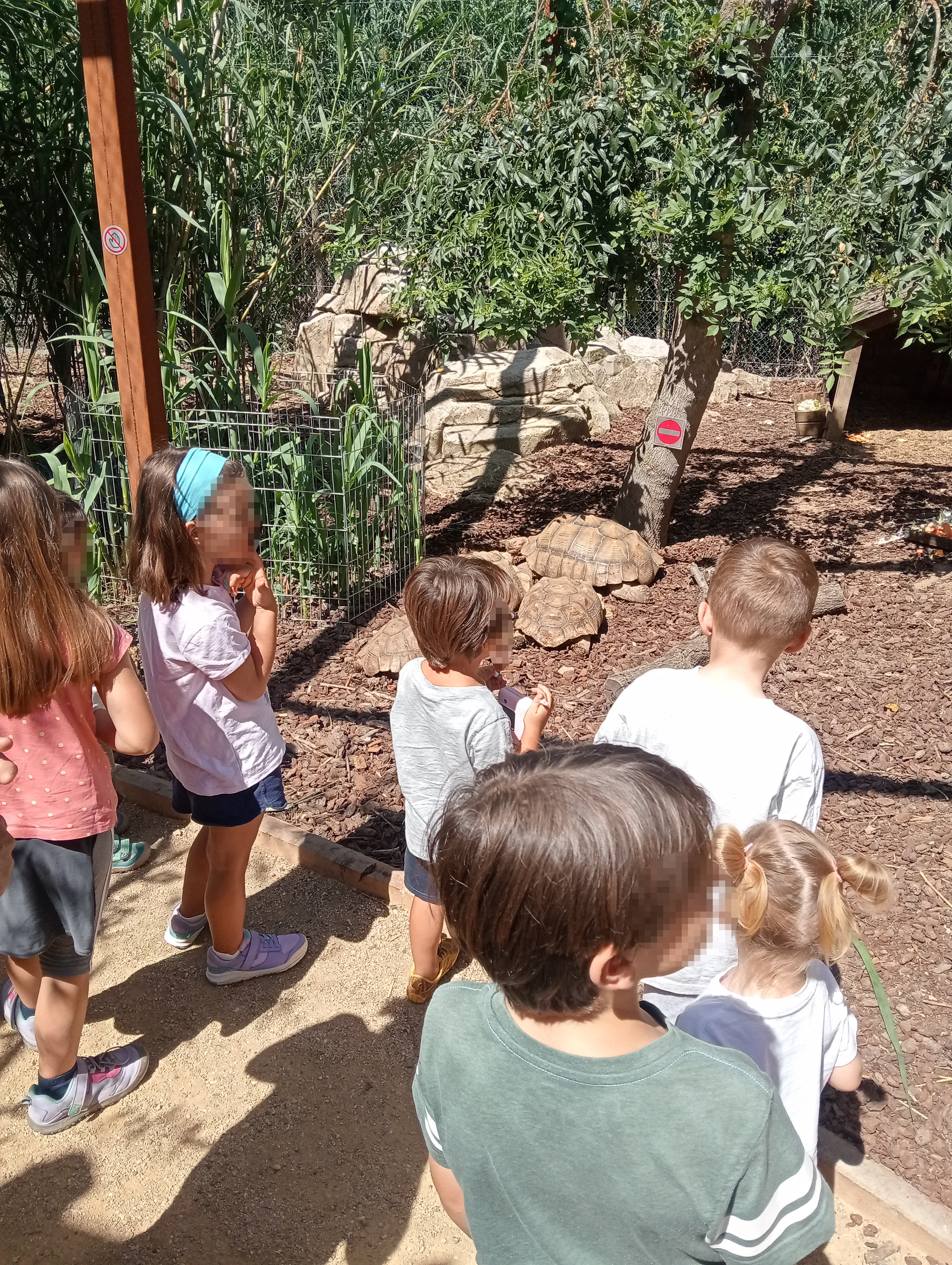 Butterfly Park