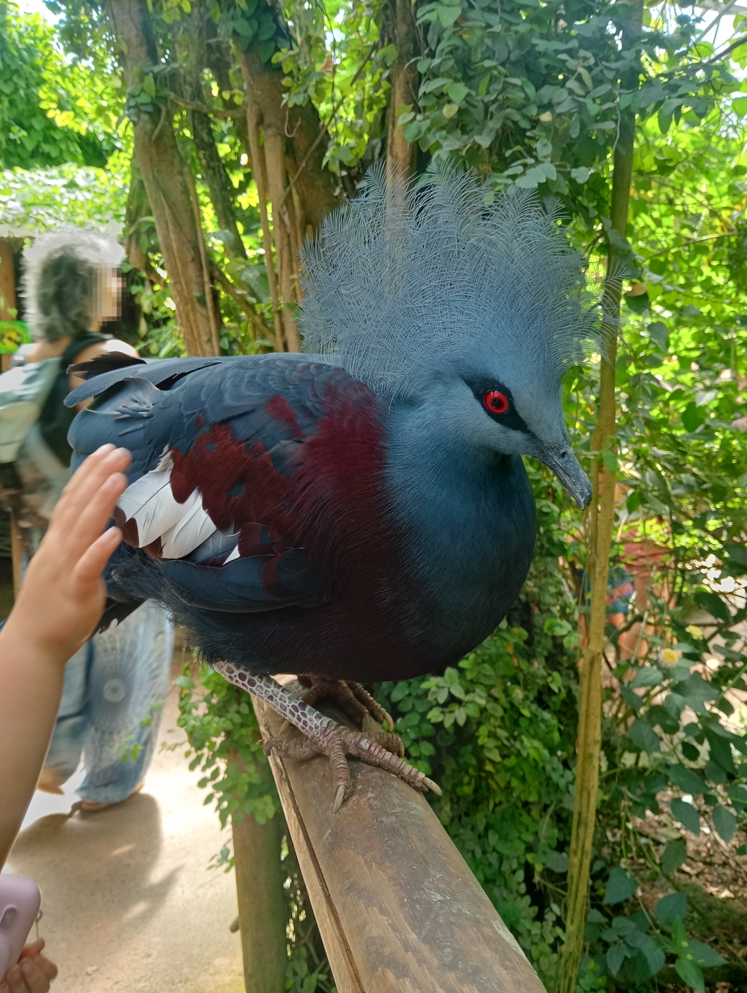 Butterfly Park