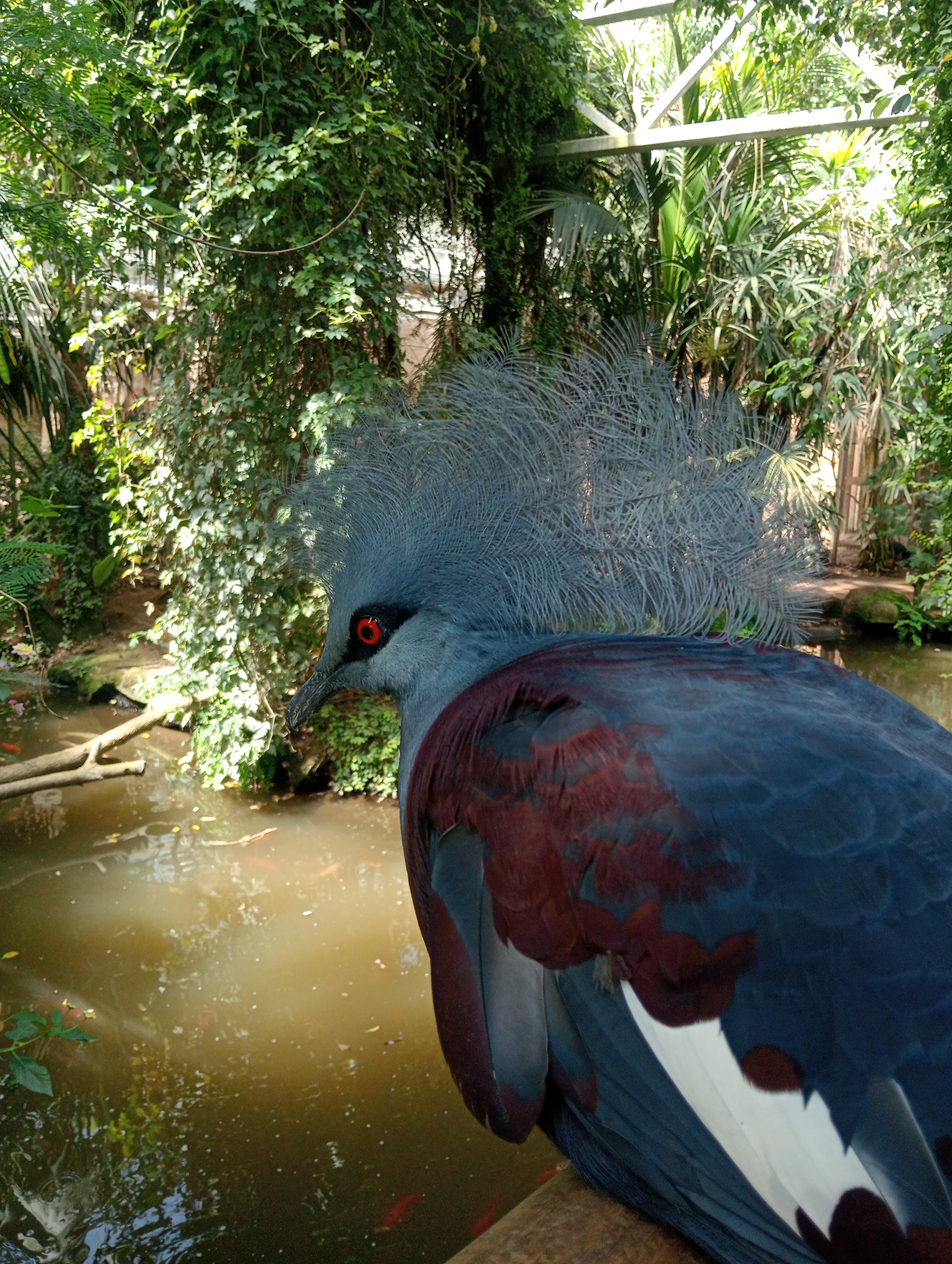 Butterfly Park