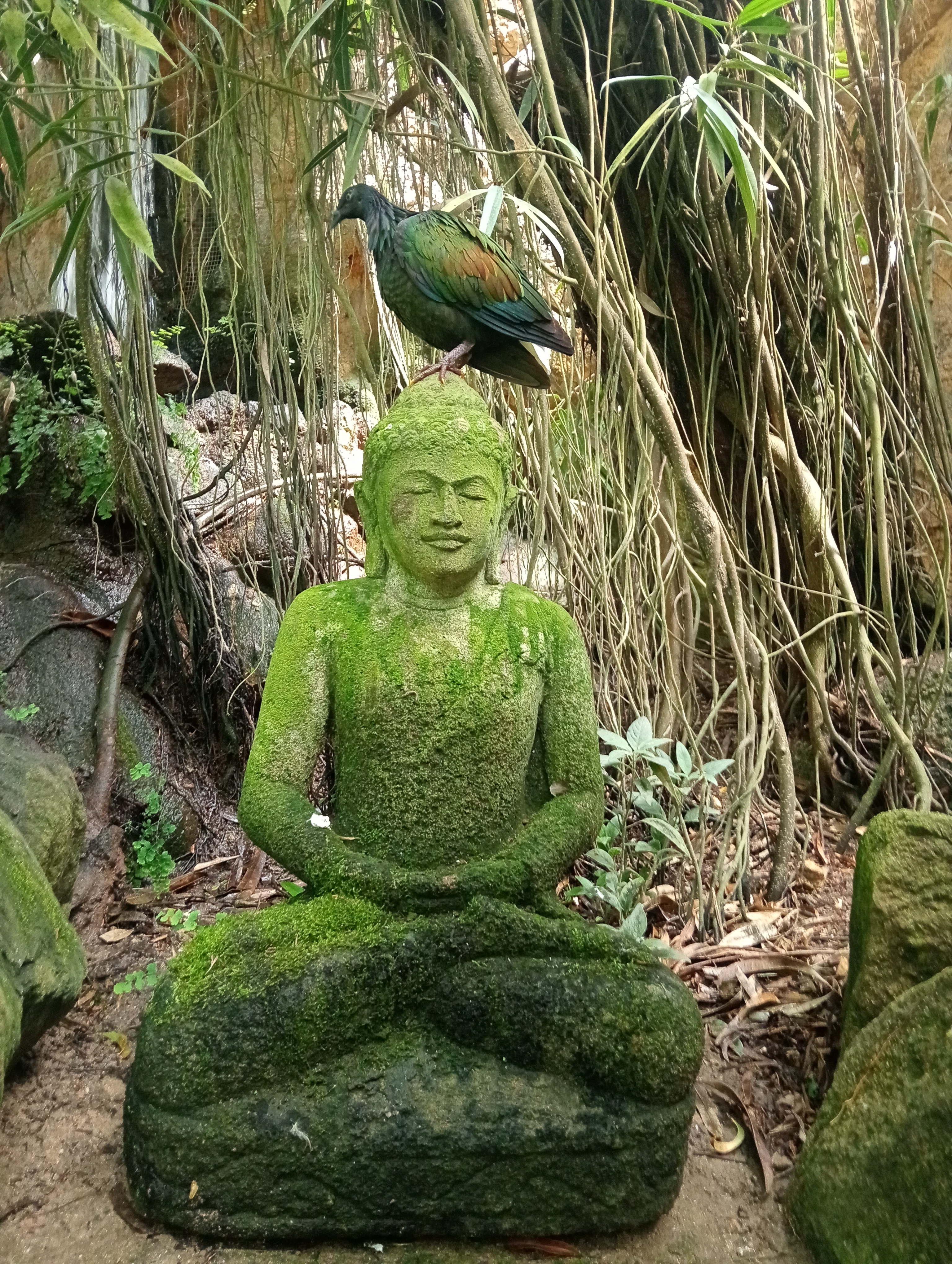 Butterfly Park