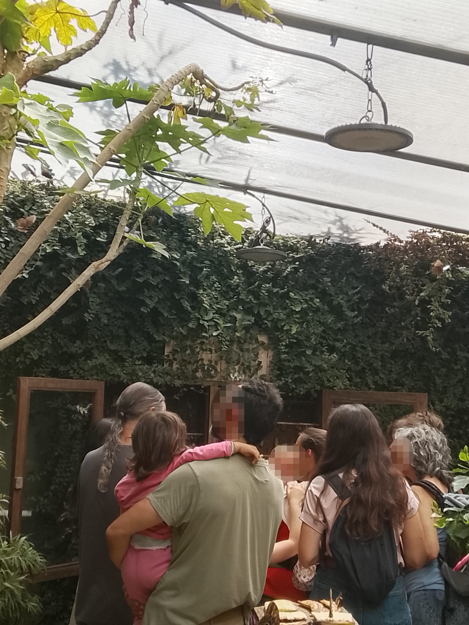 Butterfly Park