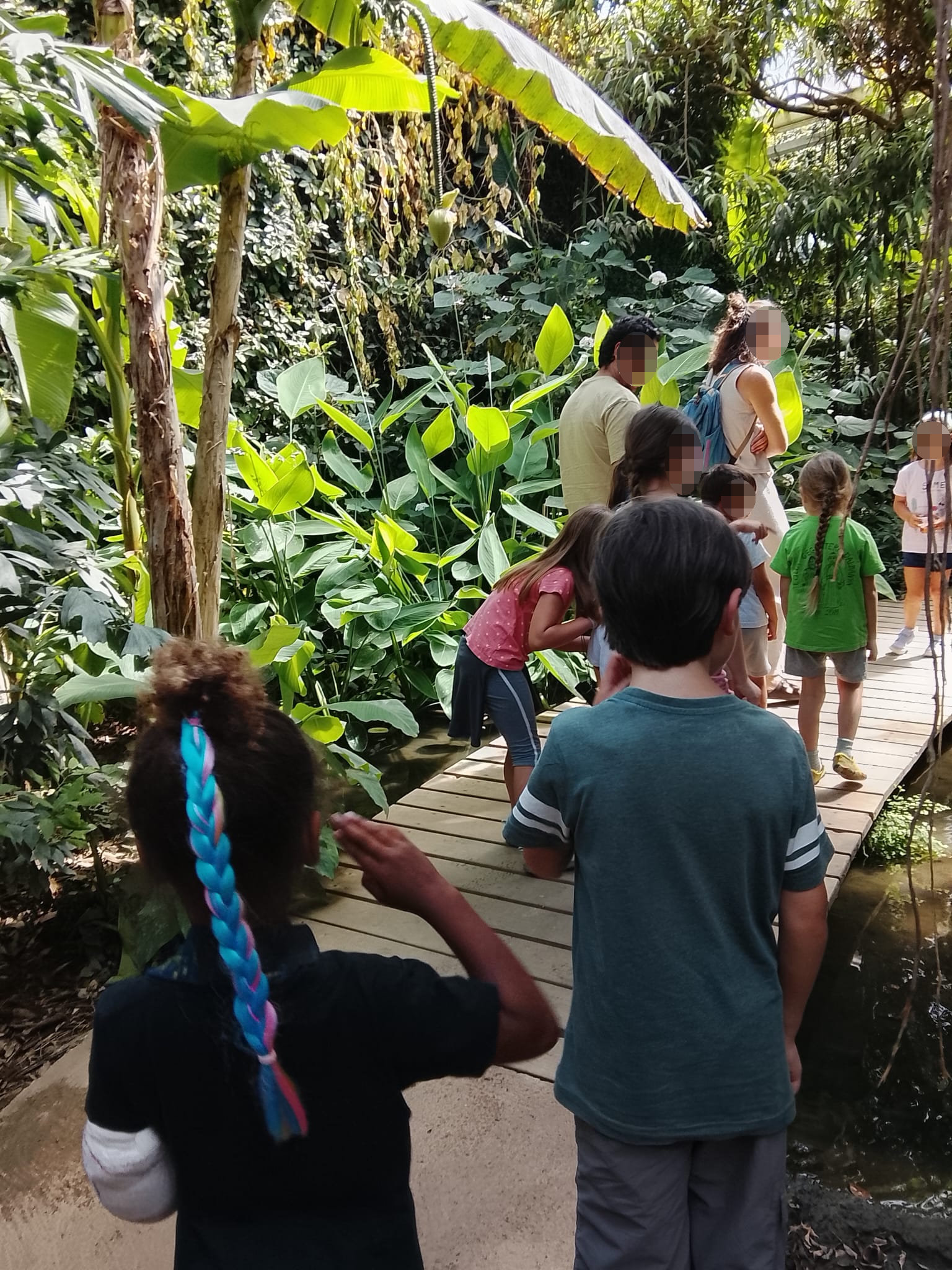 Butterfly Park